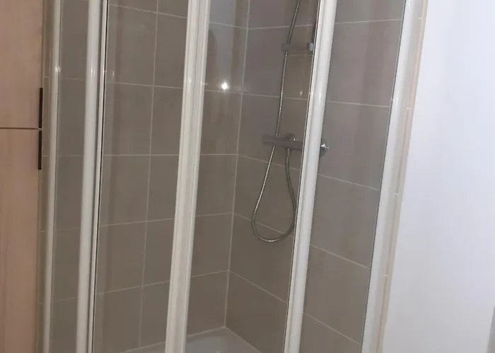 Pour Famille Amis Ou Colegue * 绍莱