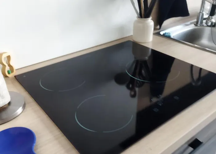 Pour Famille Amis Ou Colegue 公寓 绍莱