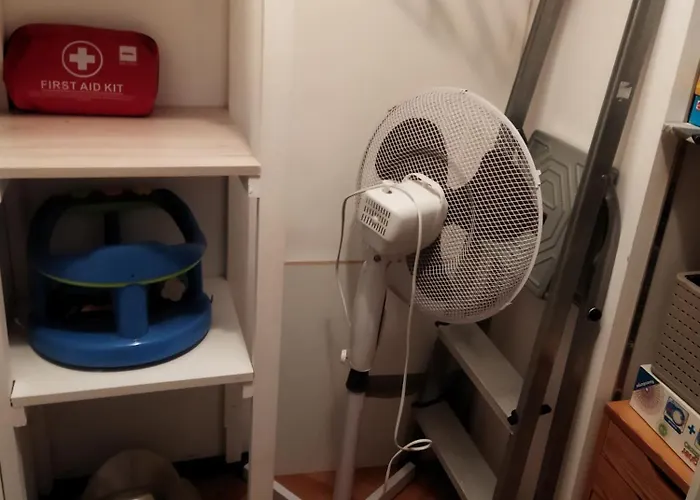 Pour Famille Amis Ou Colegue * 绍莱